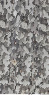 wood tree bark 0003